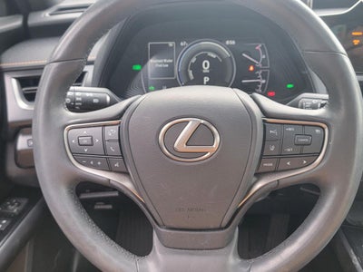 2024 Lexus UX 250h Premium
