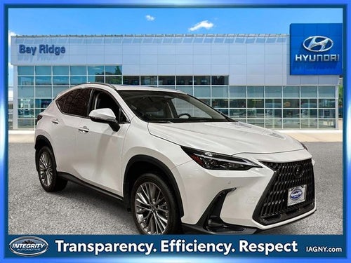 2023 Lexus NX 350h Premium
