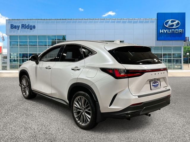 2023 Lexus NX 350h Premium