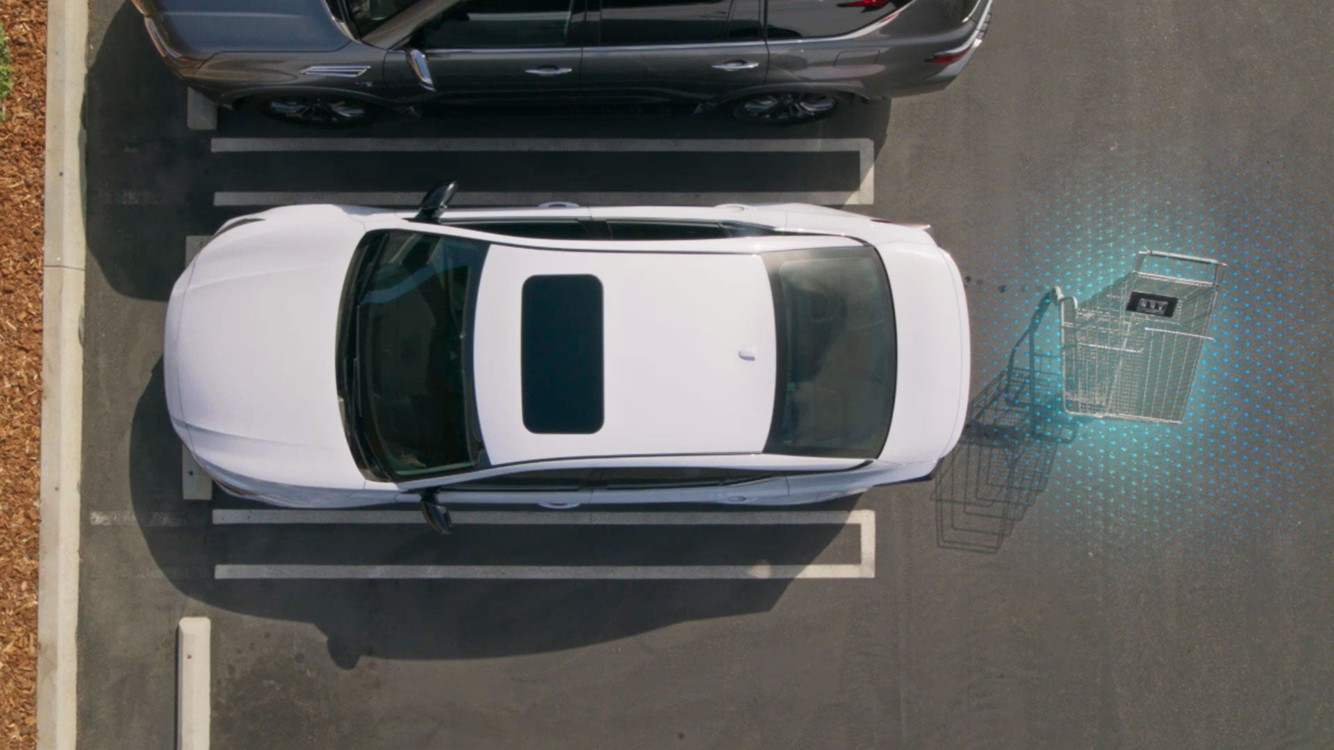 2026 Nissan Altima | Nissan City of Springfield in Springfield, NJ